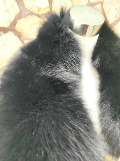 Black Fur Collar • Real Fox Fur Collar • Real Fur Scarf