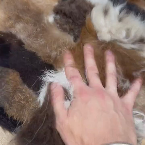 Luxury Mix Colour Sheepskin Brown Fur Wool Living Room Rug, Shaggy Rug